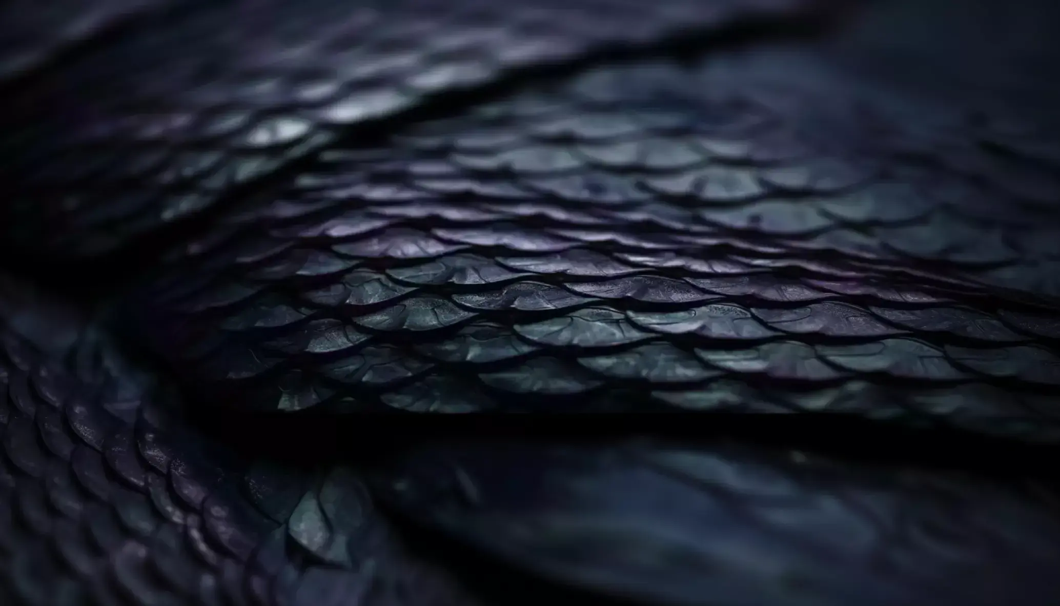 Close up of animal scales